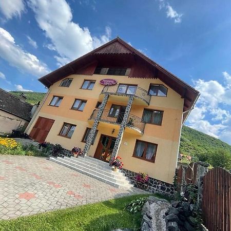 Pensiunea Vătafu Gura Râului Exterior foto
