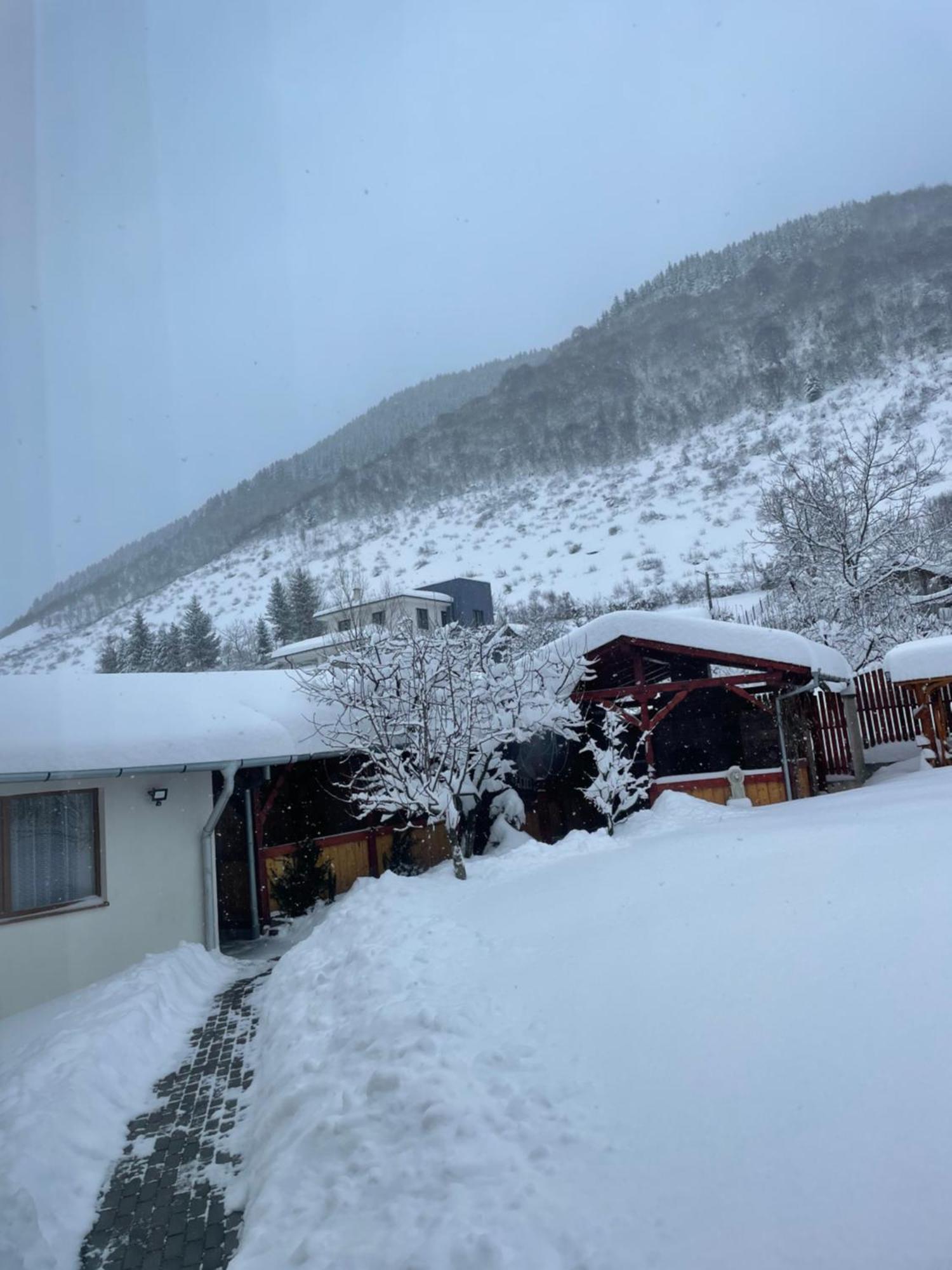 Pensiunea Vătafu Gura Râului Exterior foto