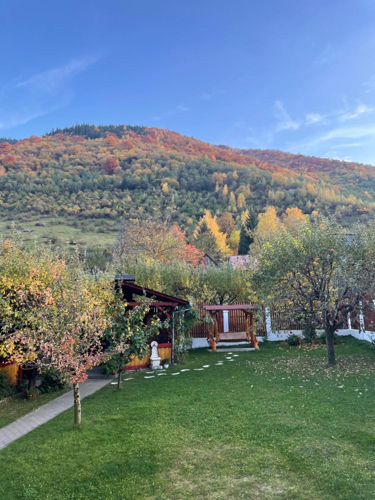 Pensiunea Vătafu Gura Râului Exterior foto