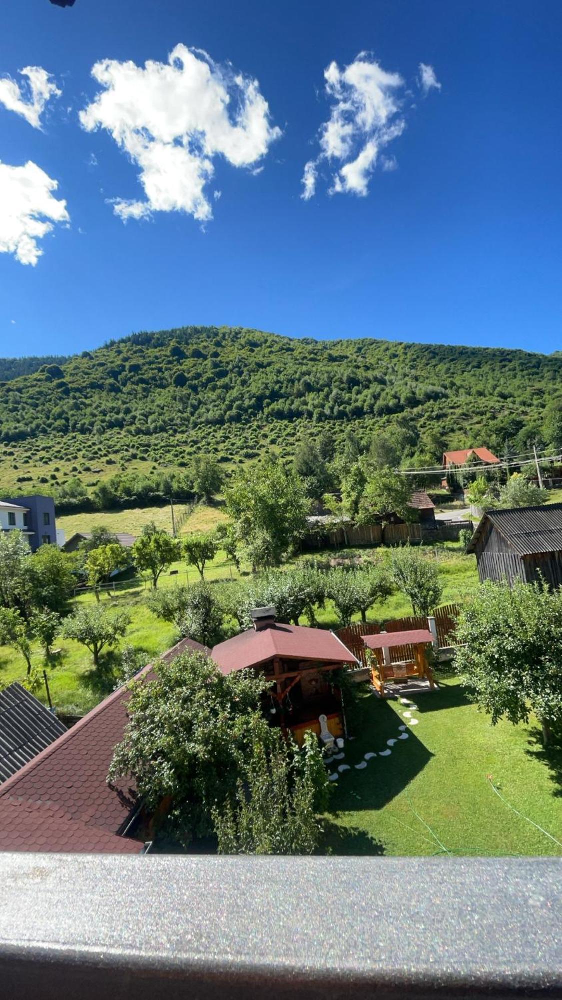 Pensiunea Vătafu Gura Râului Exterior foto